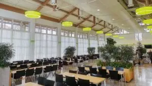 Großzügiger Speisesaal mit vielen Tischen und schwarzen Stühlen, beleuchtet von kreisförmigen, gelben Deckenlampen. Große Fenster lassen natürliches Licht herein. Verschiedene Grünpflanzen sind zur Dekoration aufgestellt. Rechts ist eine Theke, an der eine Person arbeitet. Ein geschmückter Weihnachtsbaum steht in der Nähe.