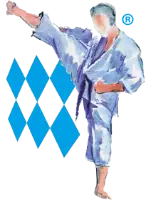 Ein Kampfsportler in einem weißen Gi führt einen hohen Tritt aus. Im Hintergrund sind blaue Rauten angeordnet.