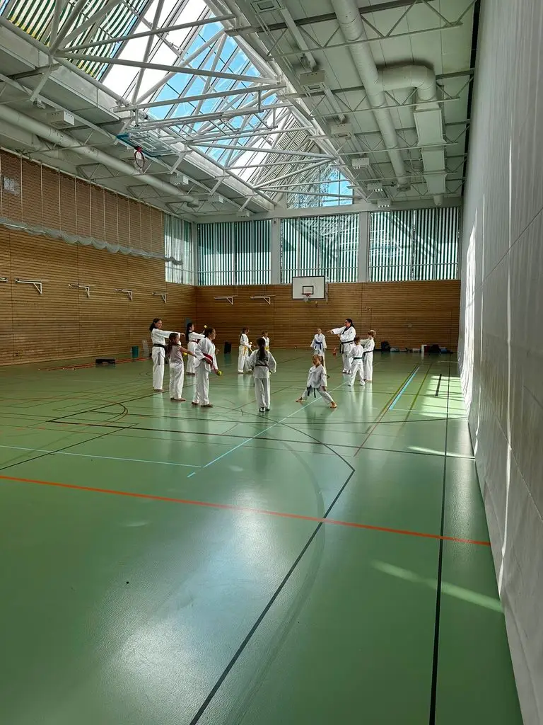 Taekwondo Sportler trainieren mit Tennisb&auml;llen in der Sportschule in einer hellen Halle mit gr&uuml;nem Boden