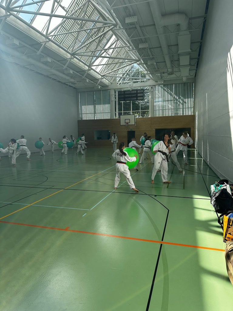 Taekwondo Sportler trainieren mit gr&uuml;nen B&auml;llen in der Sportschule in einer hellen Halle mit gr&uuml;nem Boden