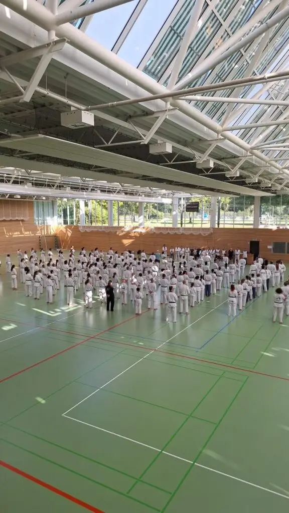 Rund 260 Taekwondo-Sportlerinnen und -Sportler trainieren gemeinsam bei einem Breitensportlehrgang in einer großen Sporthalle an der SPO.